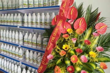 Kệ bày hàng siêu thị tại Hiệp Hòa, Bắc Giang