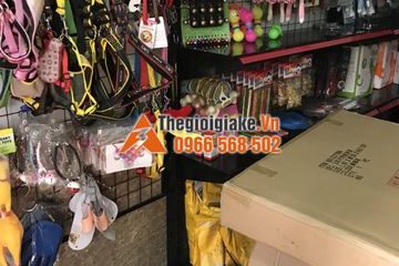 Kệ treo phụ kiện chó mèo tại Hà Nội
